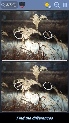 Differences - Find them - Screenshot 1