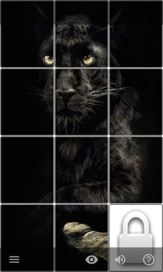 Puzzle of Pictures - Screenshot 2