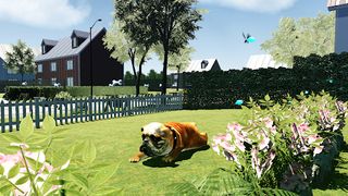 Bull Dog Simulator - Screenshot 2