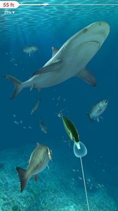 Rapala Fishing - Daily Catch - Screenshot 3