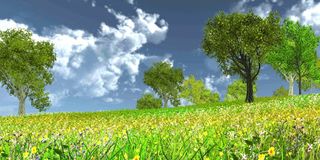 VR Relaxing Meadow - Screenshot 1