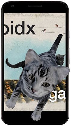 Diidxa - Screenshot 2