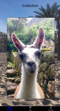 TapBlock Ultimate - Screenshot 3