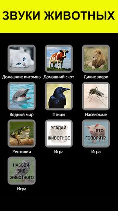 Звуки животных и голоса птиц - Screenshot 1