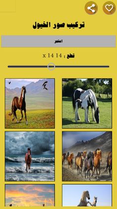 لعبة تركيب صور الخيول - Screenshot 3