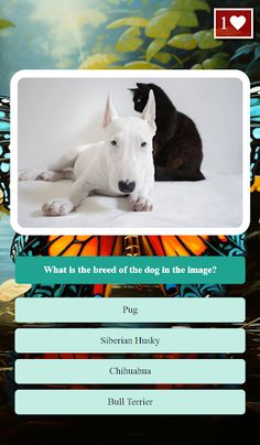 NewQuiz - Imersive Quiz Game - Screenshot 2