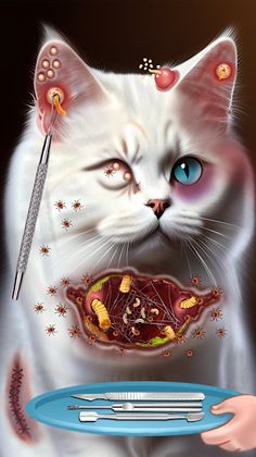 Cat ASMR Doctor Salon Games - Screenshot 3