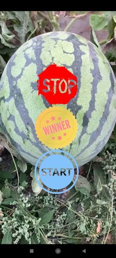 watermelon - Screenshot 1