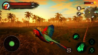 The Parrot - Screenshot 3