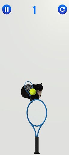 Cat Tennis - Screenshot 2