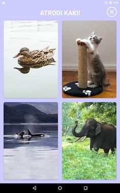 Dzīvnieku balsis - Screenshot 2