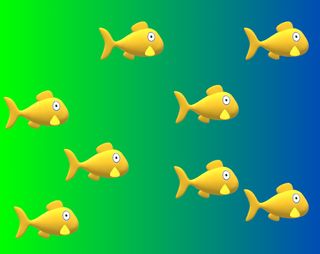 Fish Open - Screenshot 1