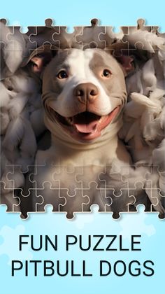 Pitbull Dogs Jigsaw Puzzles - Screenshot 2