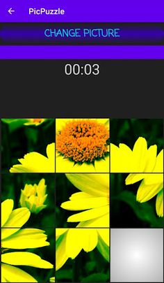 PicPuzzle - Screenshot 1