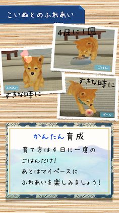 Shibainu Simulation Game 3D - Screenshot 3