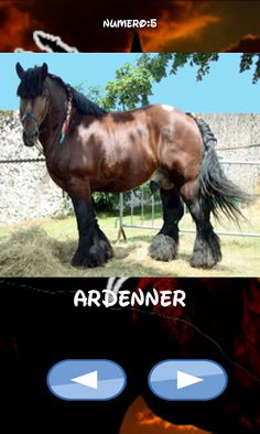 Horses, which one is hiding - Screenshot 2