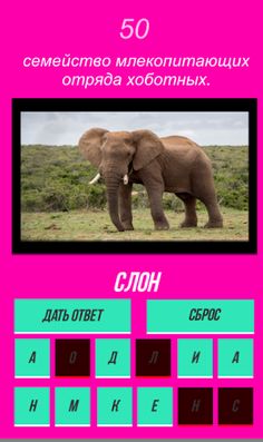 Quiz: guess the animal by the - Screenshot 1