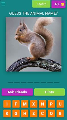 Guess The Animal Name - Screenshot 3