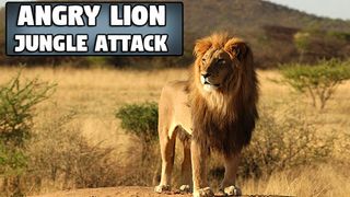 Angry Lion Jungle Attack - Screenshot 1