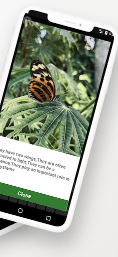 Find the word - Guessing game - Screenshot 2