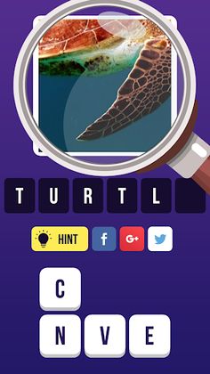 Zoom Pic: Close Up Pic Quiz - Screenshot 3