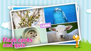 Animal flashcard & sounds - Screenshot 2