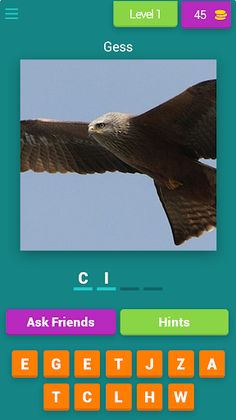 Birds Quiz - Screenshot 1