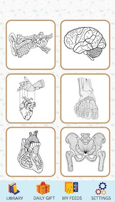 Anatomy Coloring Book - Screenshot 1