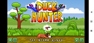 Ducks Hunter Game - Screenshot 1