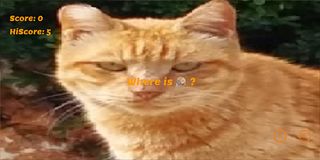 qwhere - Screenshot 2