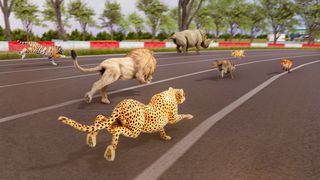 Wild Animal Race Horse Racing - Screenshot 3