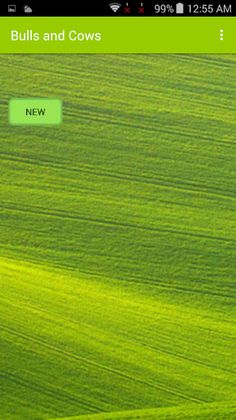 Bulls and Cows (Free) - Screenshot 1