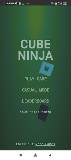 Cube Ninja - Screenshot 1