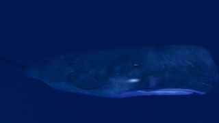 VR Scuba Diving - Deep Sea Oce - Screenshot 3