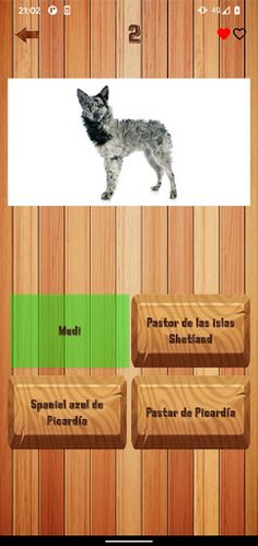 Guess dog breed - Screenshot 2