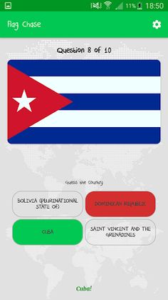 Flag Chase - Screenshot 1