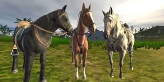 Horse racing game - Screenshot 1