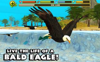 Eagle Simulator - Screenshot 1