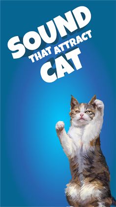 Cat Caller - Call Your Cat To - Screenshot 1