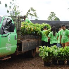 Plant A Forest - Screenshot 1