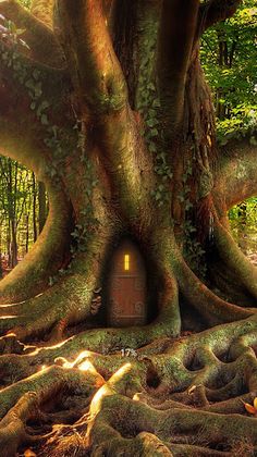 Jungle Puzzle Classic - Screenshot 1