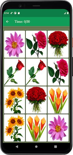 Flower Memory Matching Game - Screenshot 3