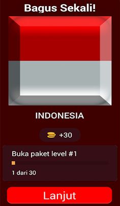 196 Bendera di Dunia - Screenshot 3