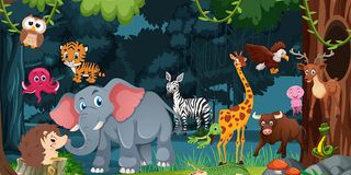 I Spy Animal - Screenshot 2