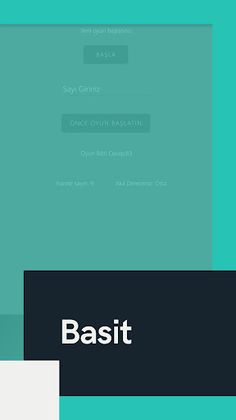 Sayı Tahmini Oyunu - Screenshot 3