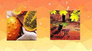 Jigsaw Puzzle Game - Screenshot 2