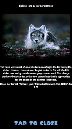 Erode Runner - Screenshot 4