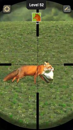 Animal Hunter: Wild Shooting - Screenshot 4