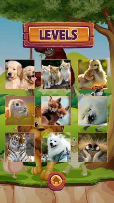 Animal Jigsaw Puzzle For Kids - Screenshot 2