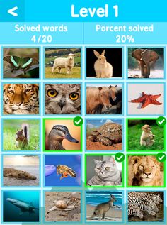 Find The Picture Word - Screenshot 4